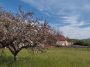 La Vèze
